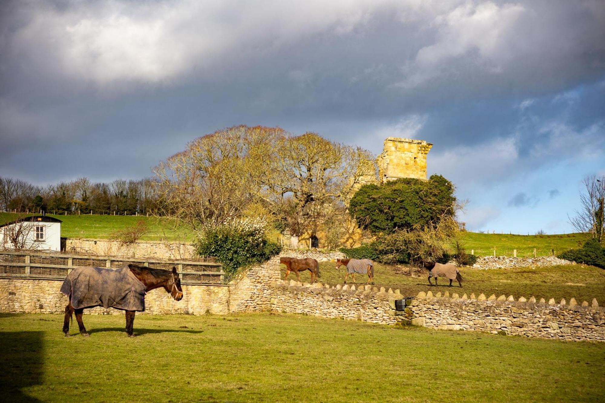 Yew Tree Cottage East Ayton Buitenkant foto